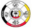 Saginaw Chippewa Academy