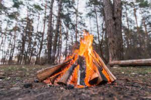 Campfire burning in a forest clearing.
