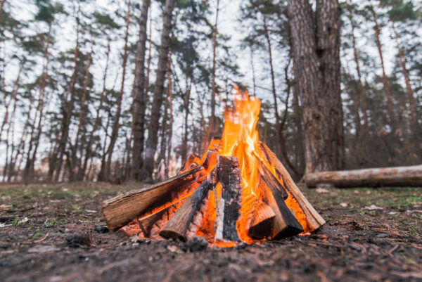Campfire burning in a forest clearing.