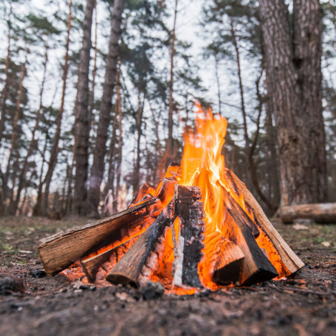 Campfire burning in a forest clearing.